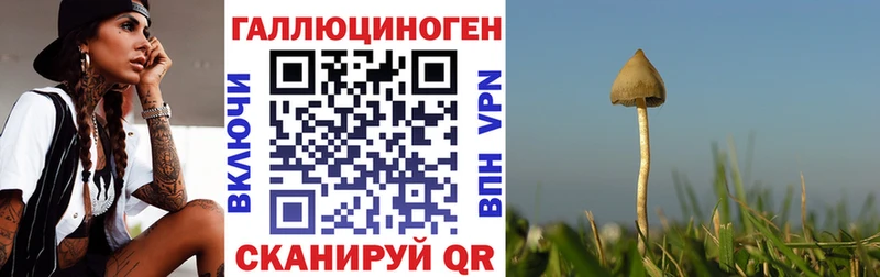 Псилоцибиновые грибы MAGIC MUSHROOMS купить сайты Уфа